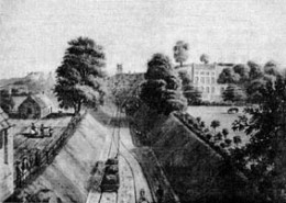 Picture: Railway cutting at New Cross Gate